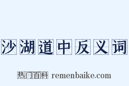沙湖道中反义词是什么意思的图片